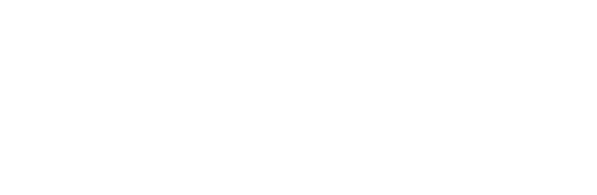 nos-consulting-high-resolution-logo-white-transparent
